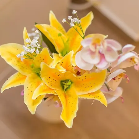 Апартаменты Luce *