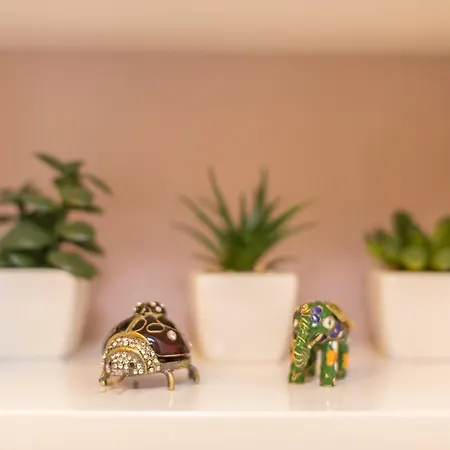 Apartamento Luce *